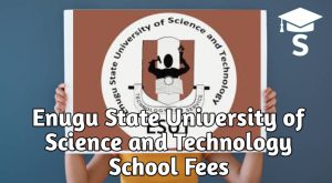 Enugu State University of Science and Technology School Fees 2025/2026