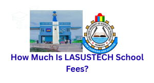 How Much Is LASUSTECH School Fees